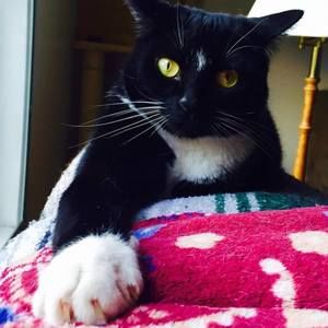 Meet your Posher, Melissa